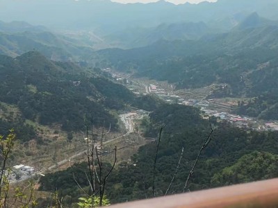 登银山塔林恨意浓 2023-05-01
