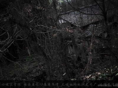 空骨恨 2023-04-28