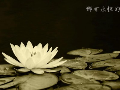 哪有 2021-08-21